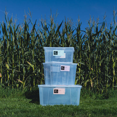 Mietmeikistn - Umzugskisten