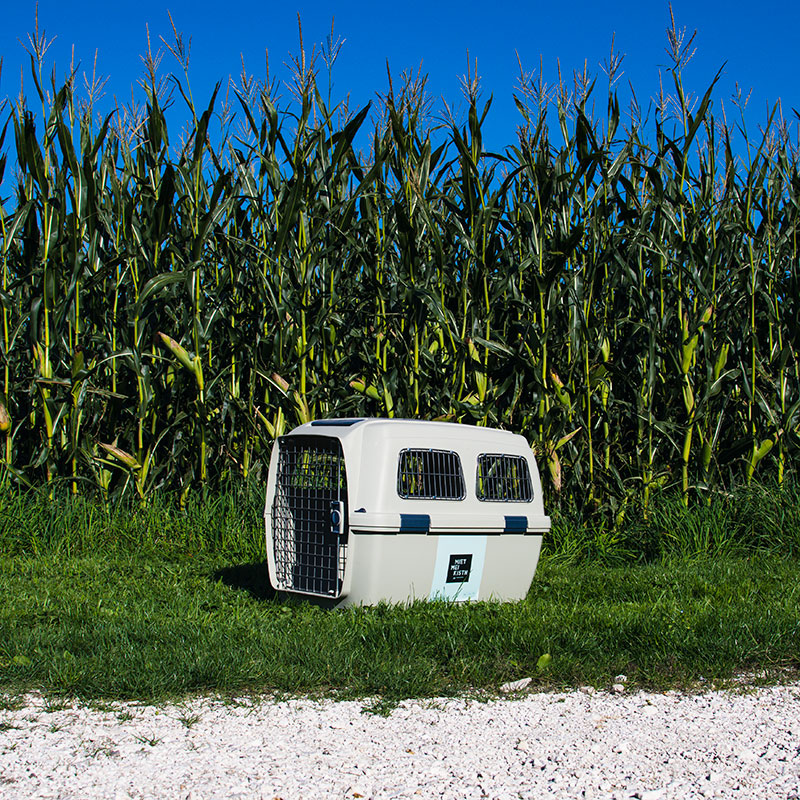 Mietmeikistn Tiertransporter